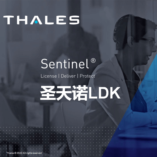 东升国际sentinel LDK系列
